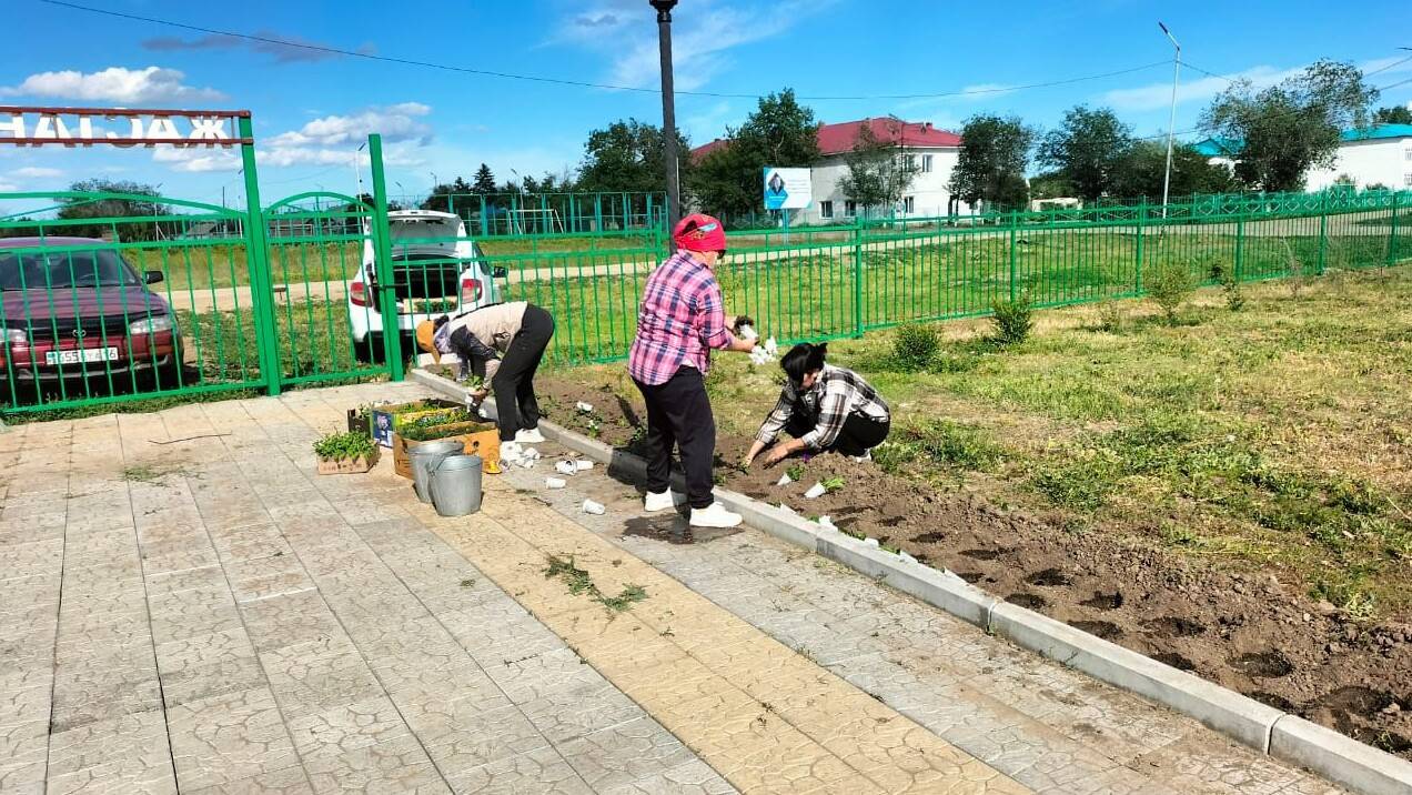 Акция по озеленению в рамках инициативы "Таза Қазақстан" прошла в Кокпектинском районе области Абай