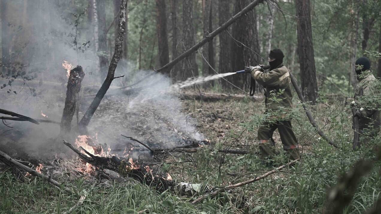 Өрт сөндіру кезінде қауіпсіздік талаптарының бұзылуына жол берген адамдар анықталады