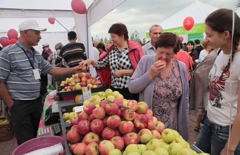 Польские яблочники помогут вернуть былую славу городу яблок