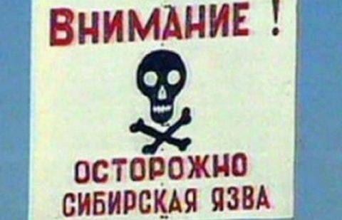 Тело якобы умершего от сибирской язвы житикаринца может быть эксгумировано