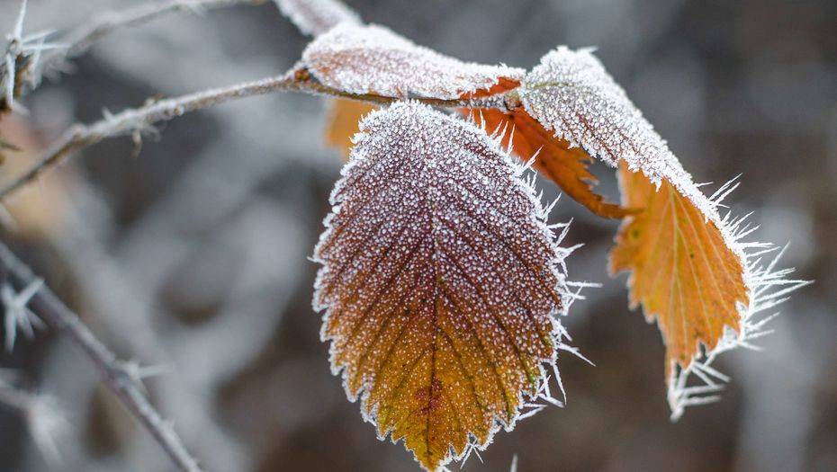 Фото с сайта shutterstock.com