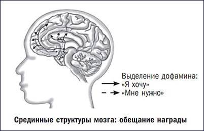 Характер и темперамент Чингисхана - следствие повышенного дофамина 