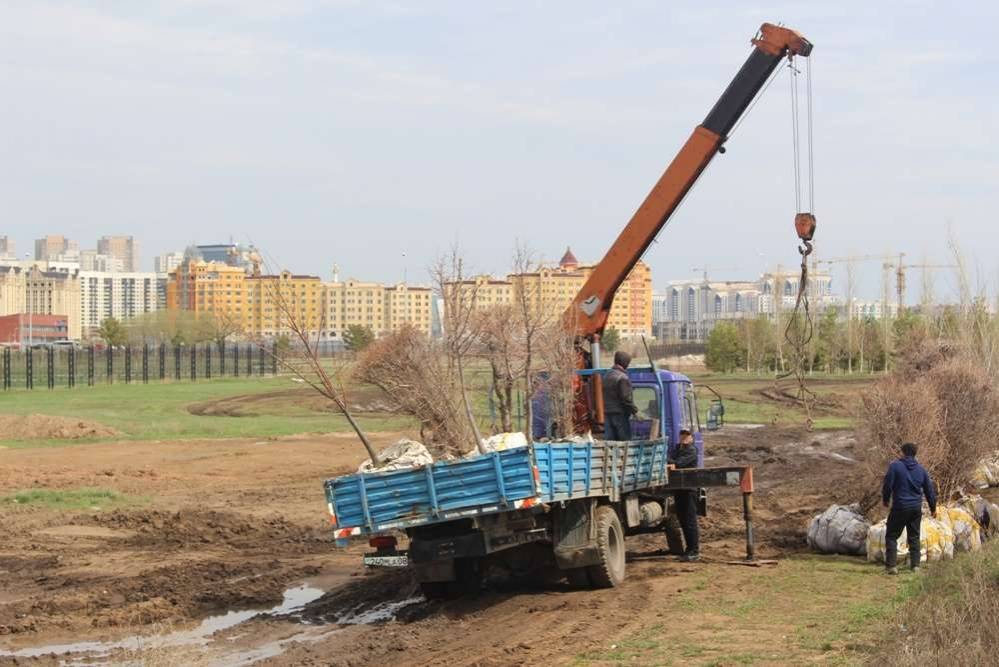 Рабочие перевозят деревья в парк "Буревестник"