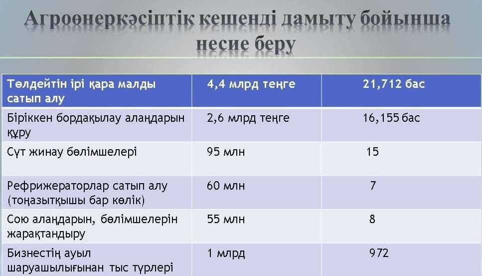 Тізімде көрсетілгендерді иелену үшін несие беріледі