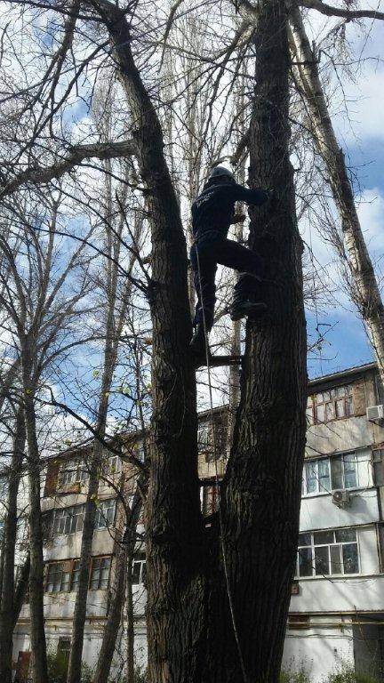 Спасатели пытаются как можно скорее навести порядок в городе