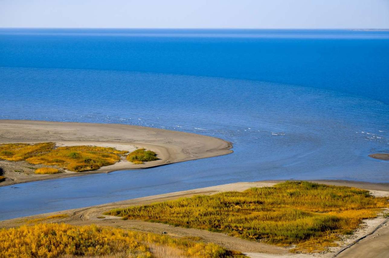 Место впадения реки Лепсы в озеро "Балхаш"