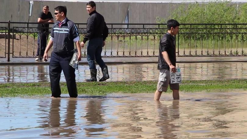 Автолюбители в поисках "уплывших" номерных знаков