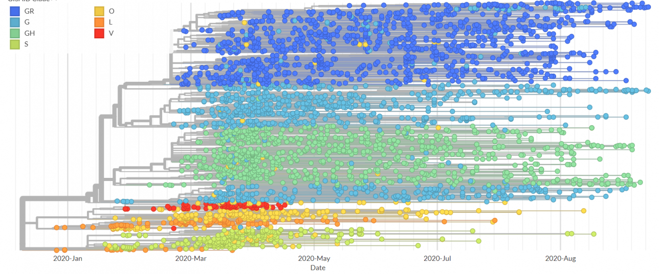 Основные штаммы коронавируса. На графике видно, что штамм L, вышедший из Уханя (оранжевый), постепенно исчезает