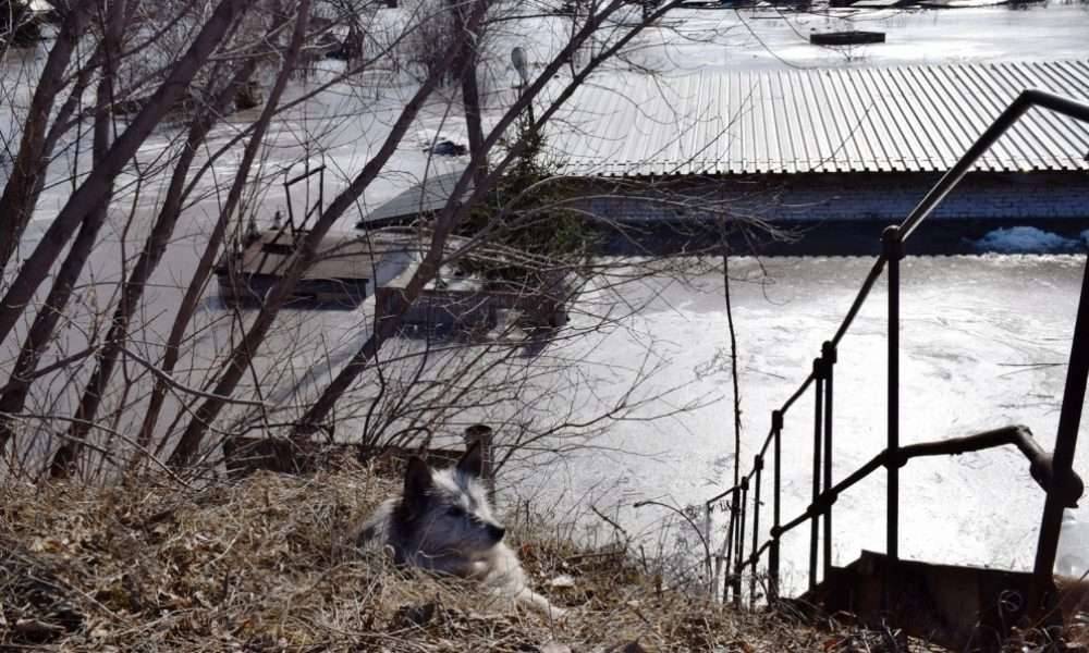 Большая вода в Зыряновске