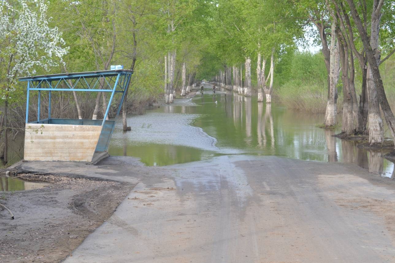 В пригороде стоит запах застойной воды