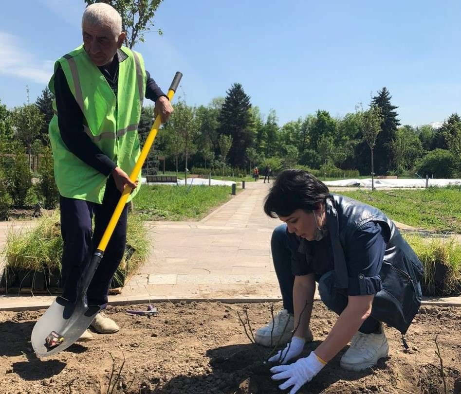 Аружан Саин