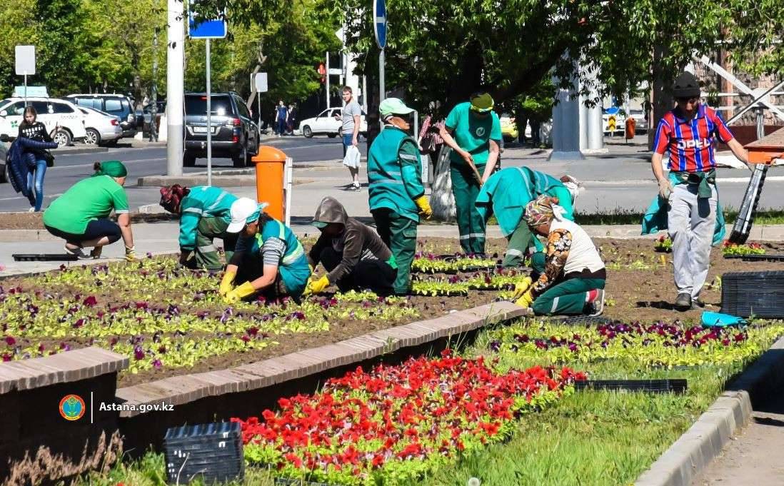 В Нур-Султане начали работу по посадке цветов