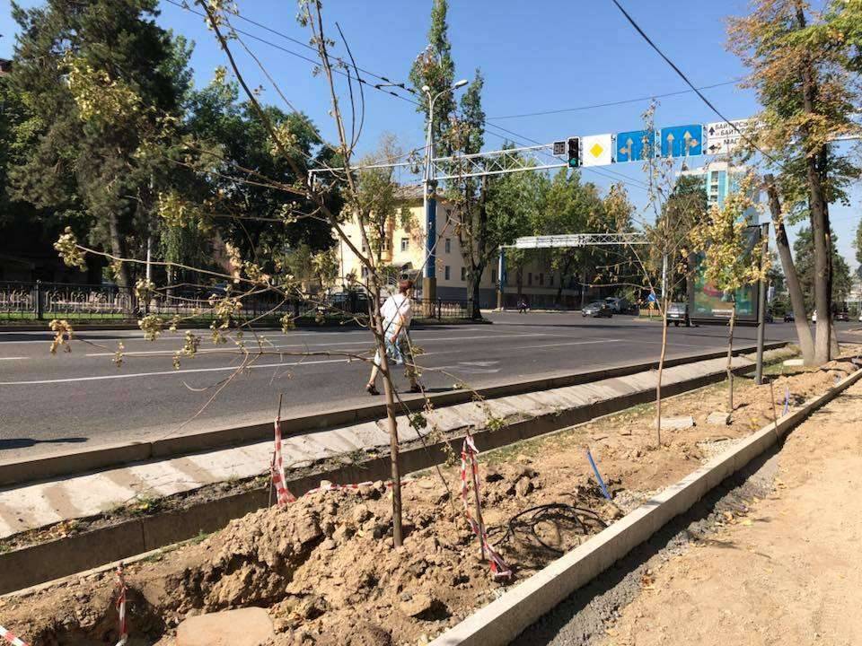 Общественный мониторинг хода реконструкции пешеходных зон в Алматы