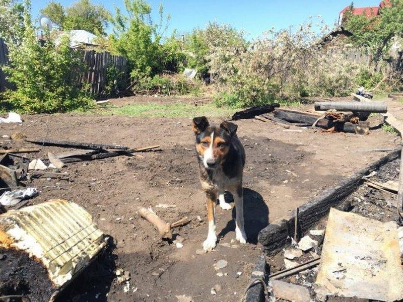 Волонтёры собирают вещи и деньги для пострадавших в пожаре