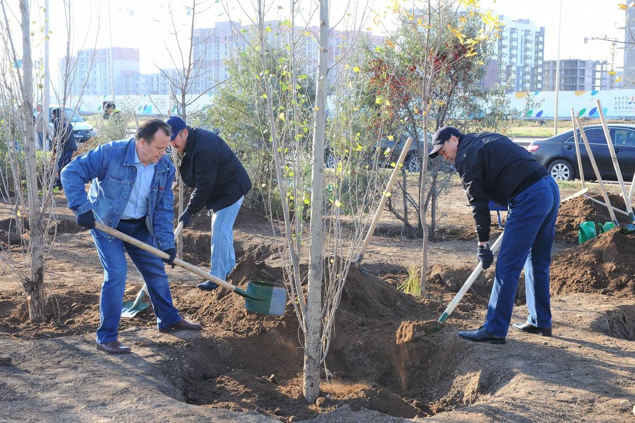 Посадка деревьев депутатами