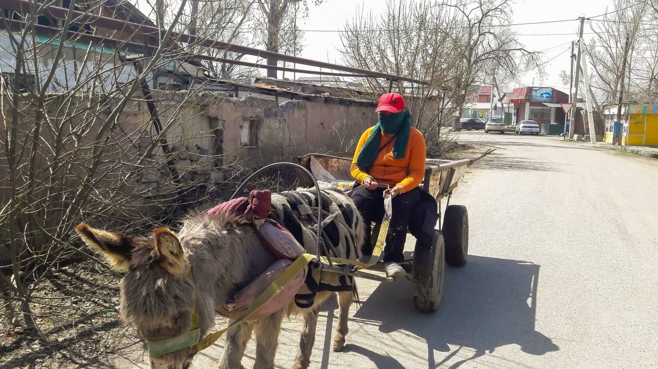 Есек шыдамды, ал әйел жаны одан да шыдамды