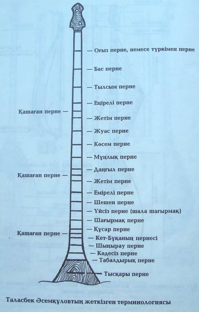 "Көне ортағасырлық домбыра күйлерінде қазіргі жиырма перненің барлығы және қазіргі домбырада жоқ үш қашаған перне кездеседі", - деген Таласбек Әсемқұлов