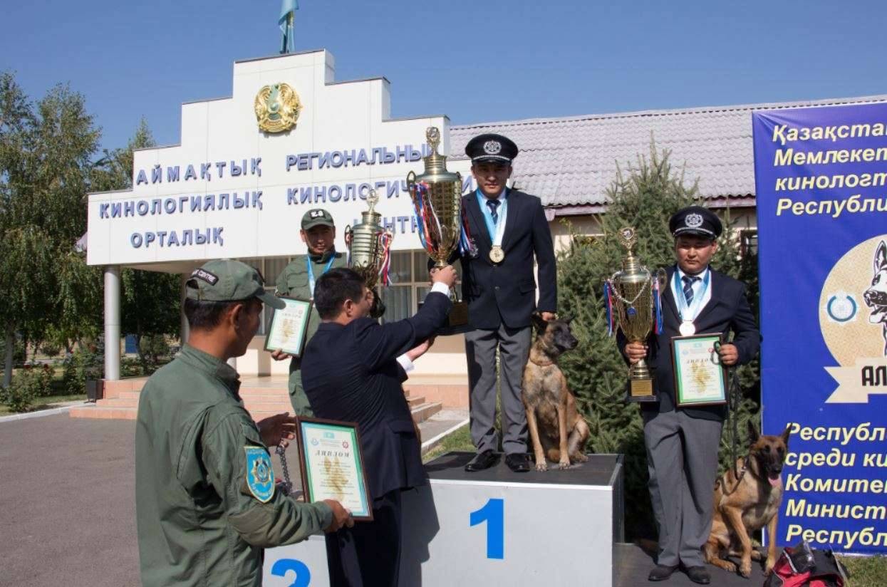 Все призовые места заняли бельгийские овчарки