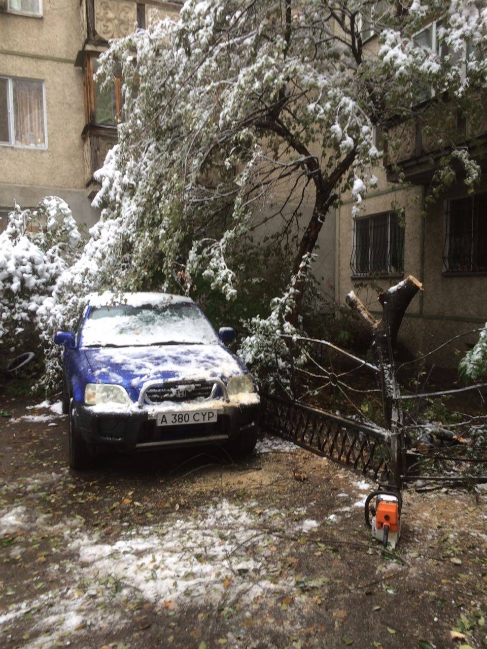 Выпавший первый снег в городе принёс немало хлопот