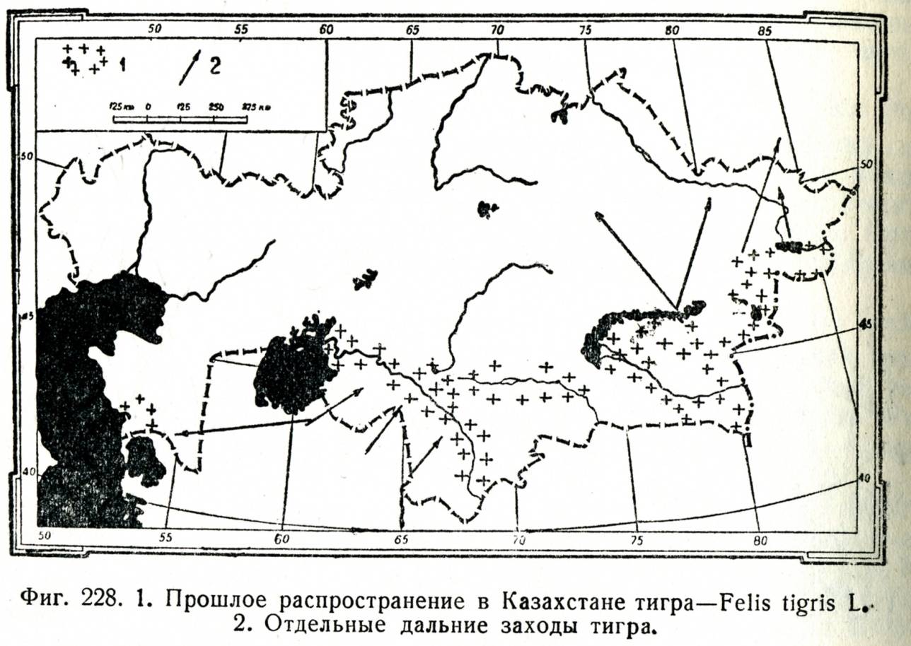 Былое распространение тигра в Казахстане