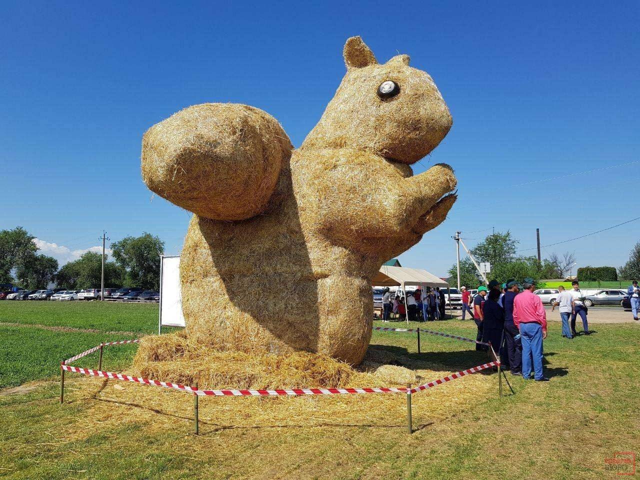 Белка в агропарке "Каскелен"