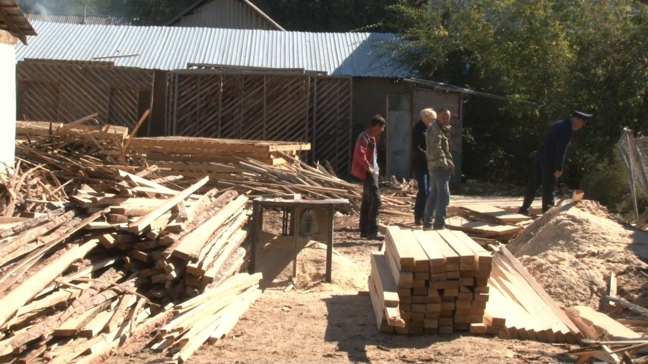 Жителю Талдыкоргана пришлось раздать всю поражённую жуком древесину, заготовленную для крыши