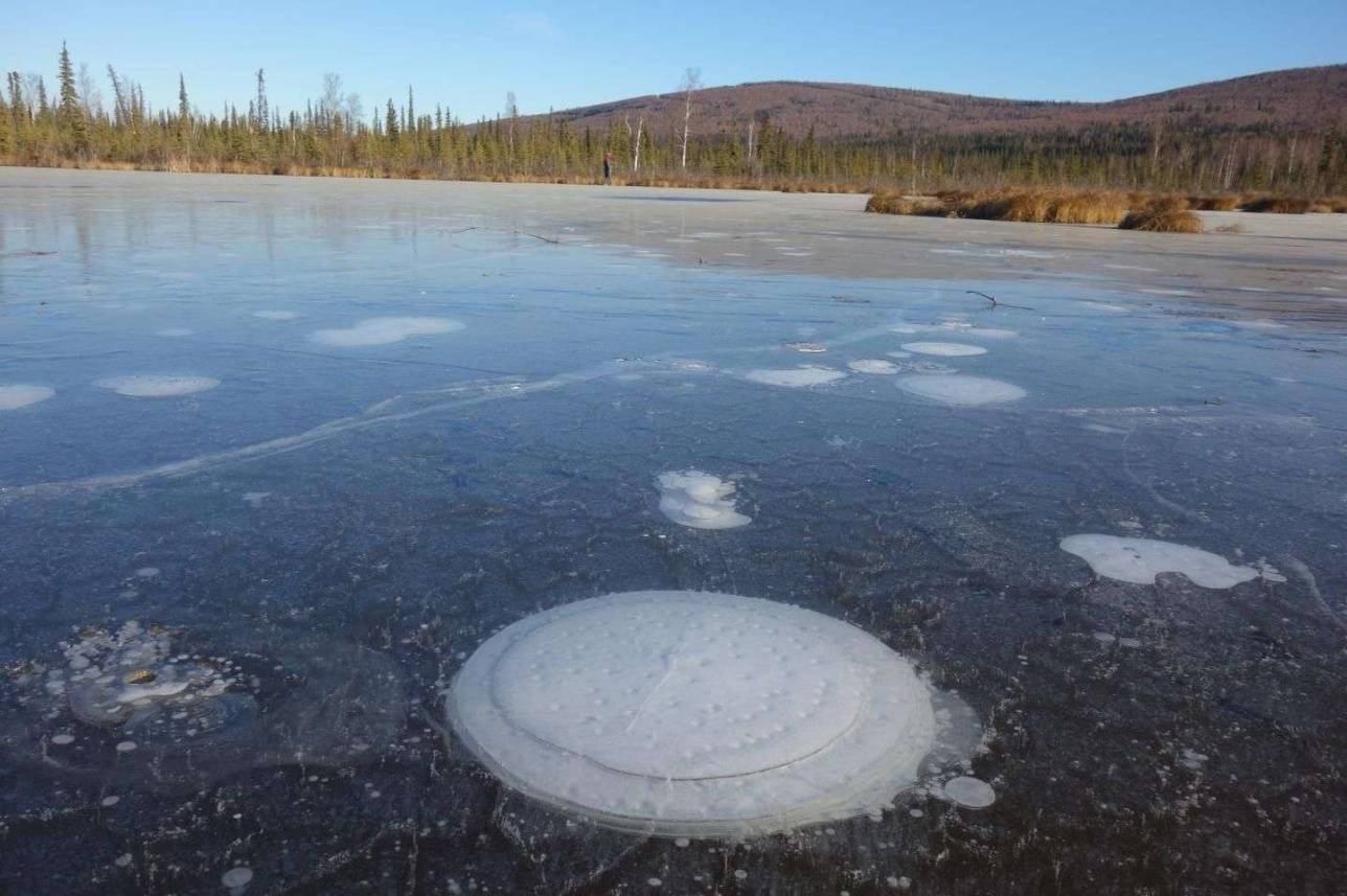 Пузыри метана в арктическом озере