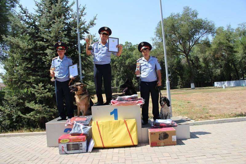  Жеңіс тұғырынан көрінгенде Елдос маңдай терінің ақталғанына қуанған