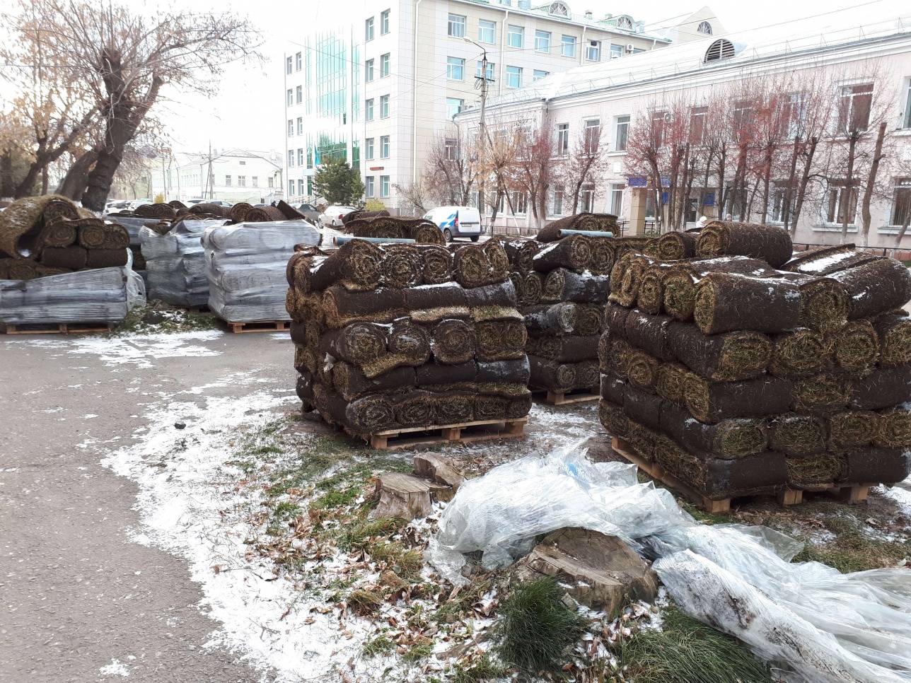 Укладка газона не прекращалась даже в снег