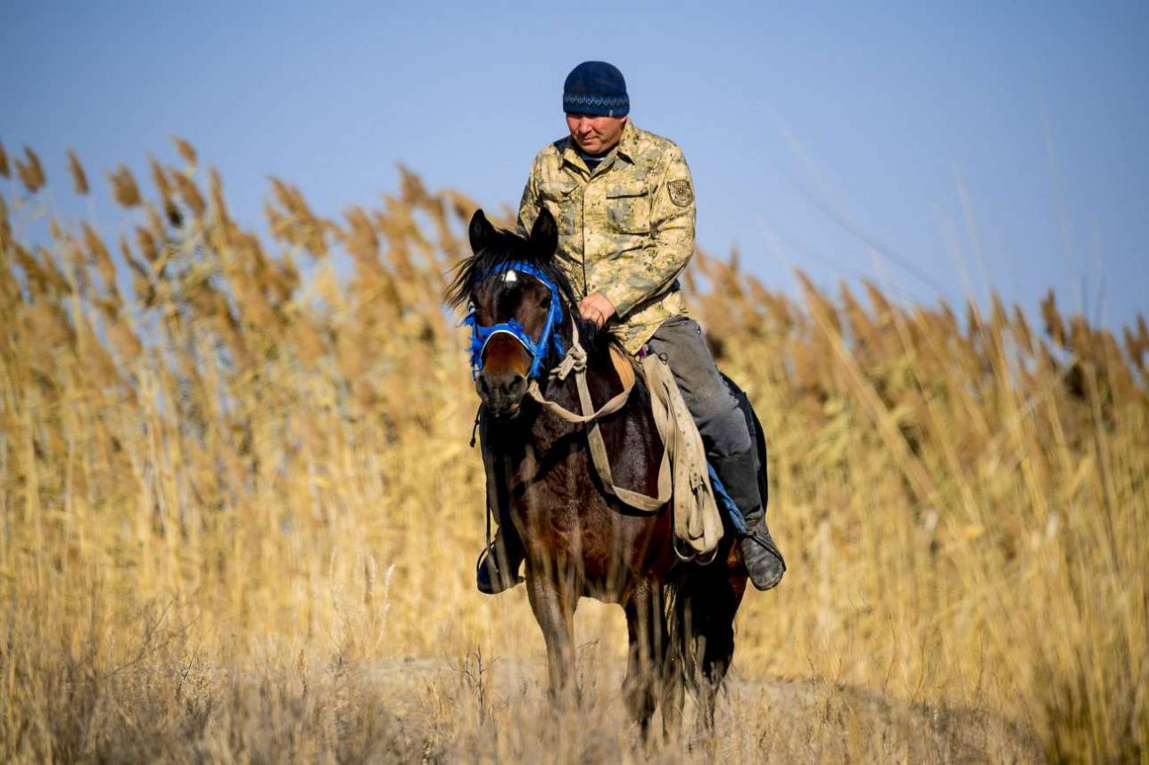 Однако шум двигателей привлекает и других представителей местного населения, находящихся неподалёку