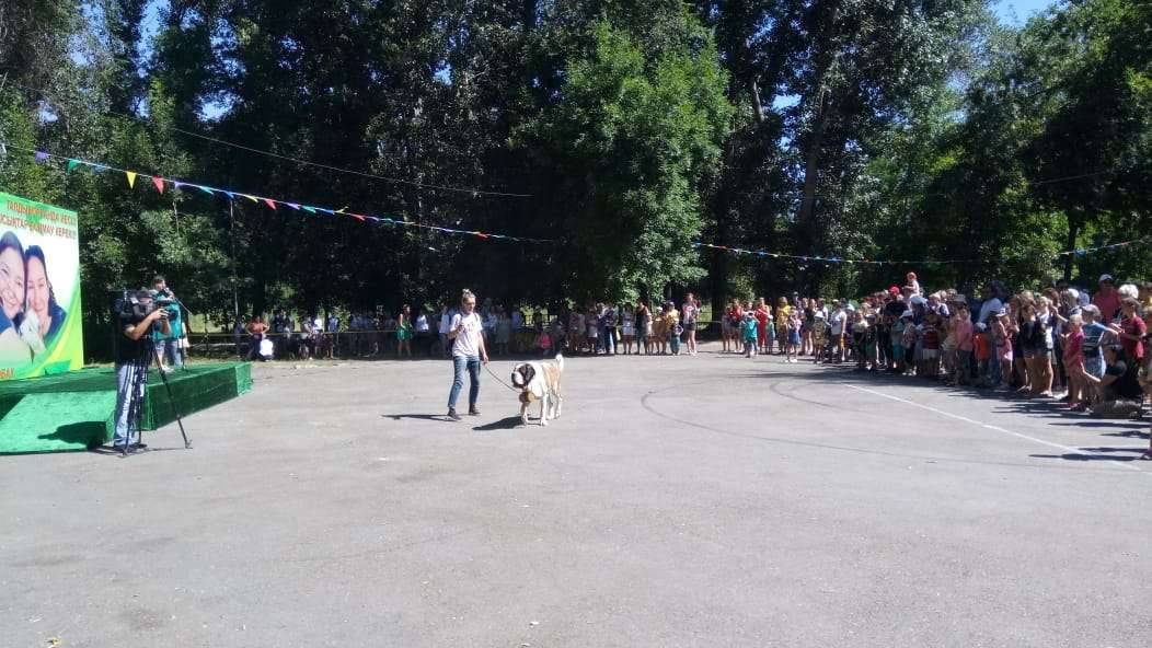 В Талдыкоргане прошла выставка собак и кошек