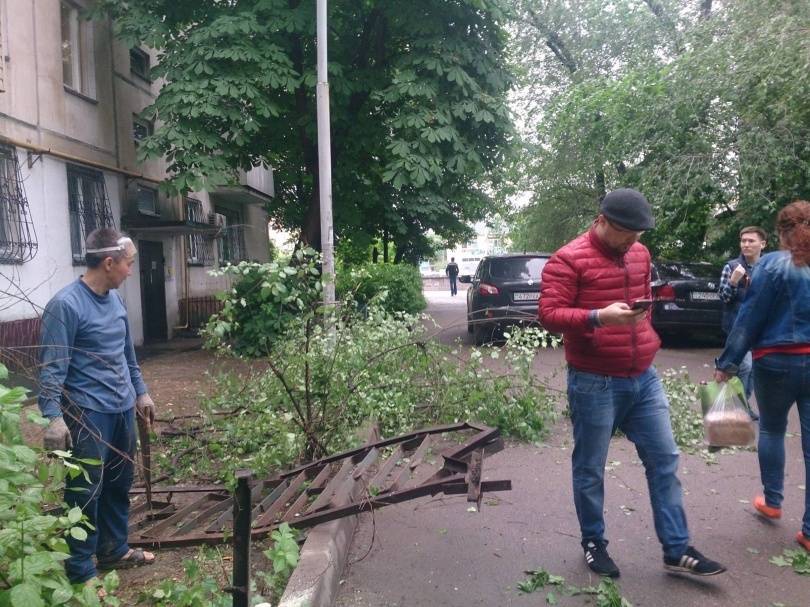 Гражданин в красной куртке незаконно срубил здоровое дерево