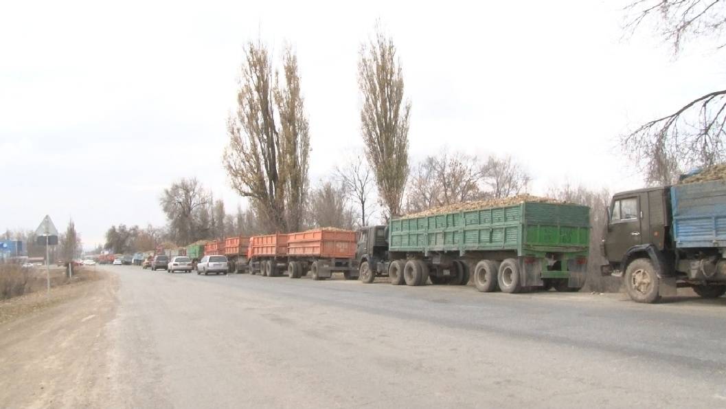 Очередь на приёмный пункт сахарного завода