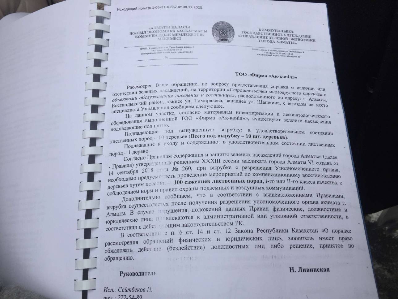 Справка управления зелёной экономики о растущих на земельном участке деревьях