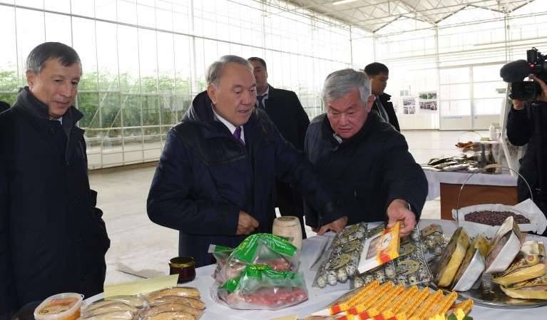 В тепличном комплексе Greenhouse Kazakhstan 