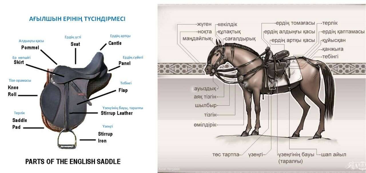 Ағылшын ері мен қазақ ер-тұрманының салыстырмасы