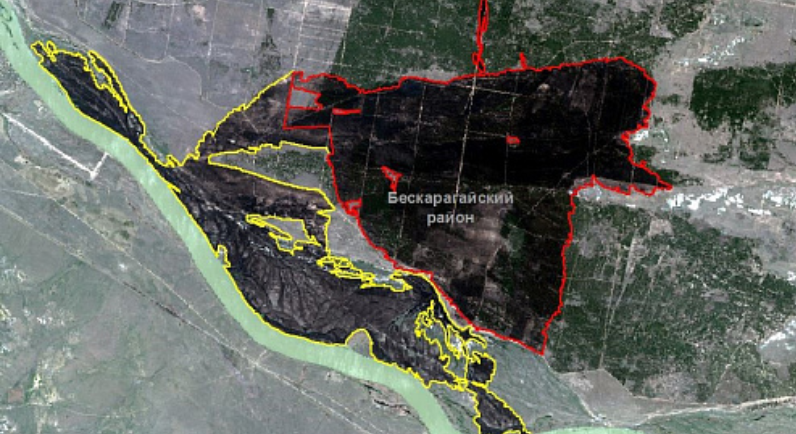 Снимок со спутника. Красной линией выделена выгоревшая площадь "Семей орманы"