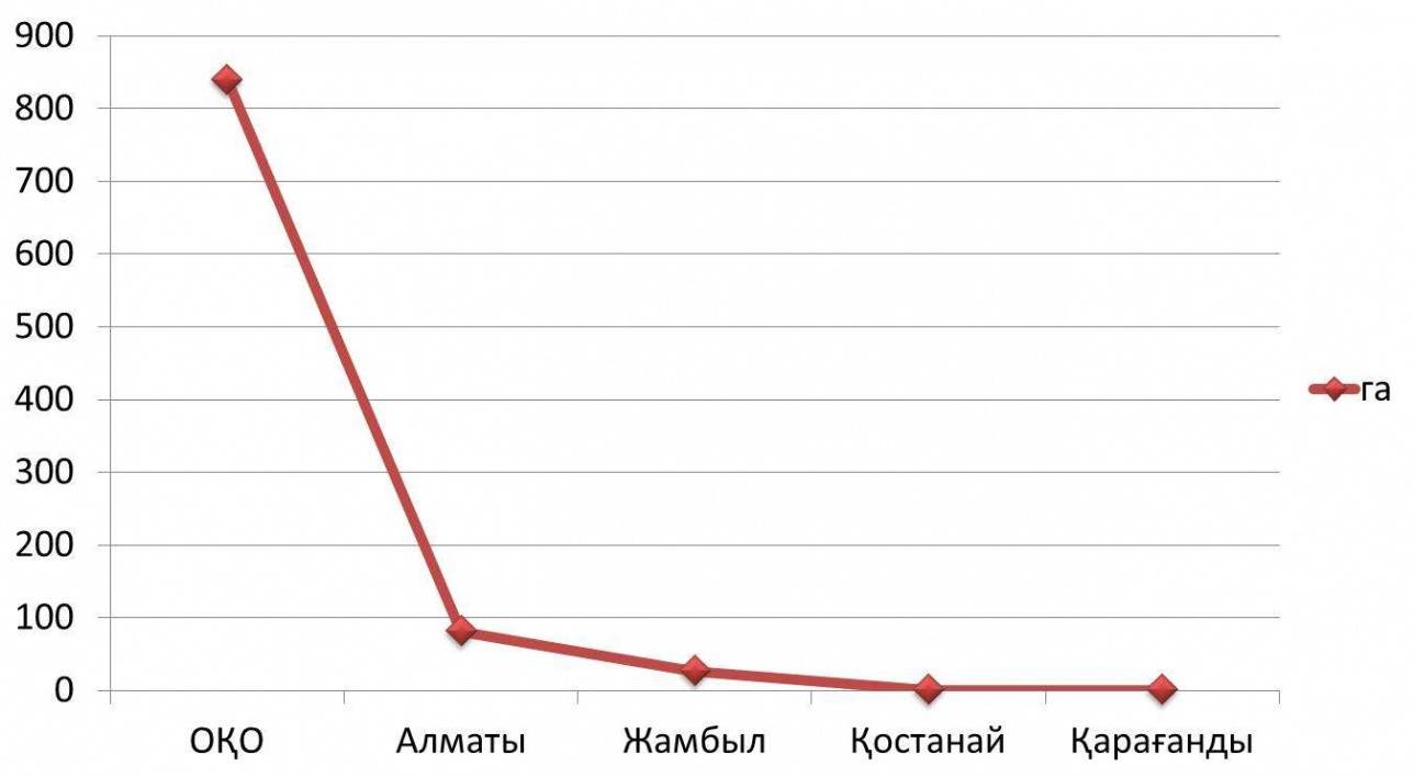 Сол себепті Қостанай мен Қызылорда облысында жылыжай көлемі 1 гектардан төмен